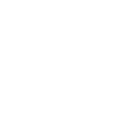 Icon of a NEMA TT-30R type outlet.